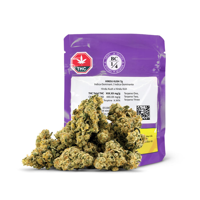 HINDU KUSH LTO