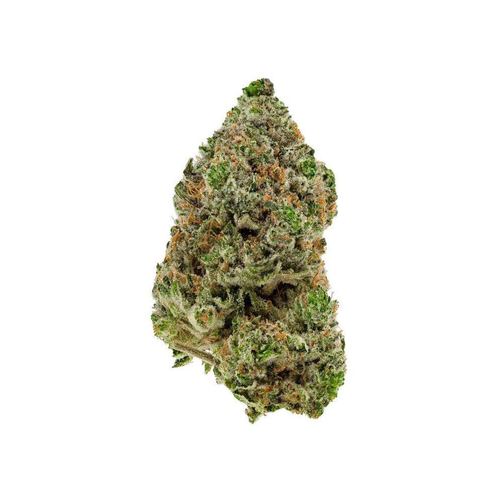 BC ORGANIC HIBACHI BLUE LTO