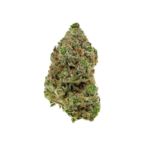 BC ORGANIC HIBACHI BLUE LTO