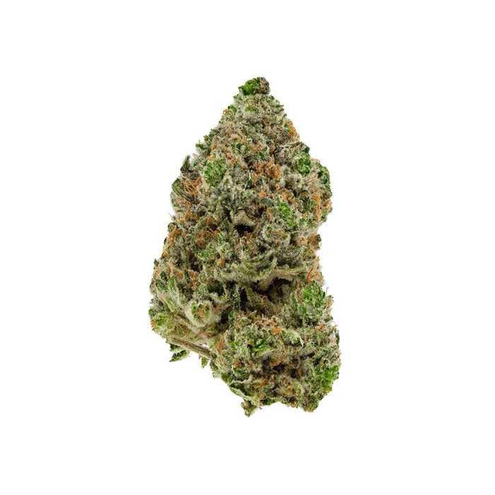 BC ORGANIC HIBACHI BLUE LTO