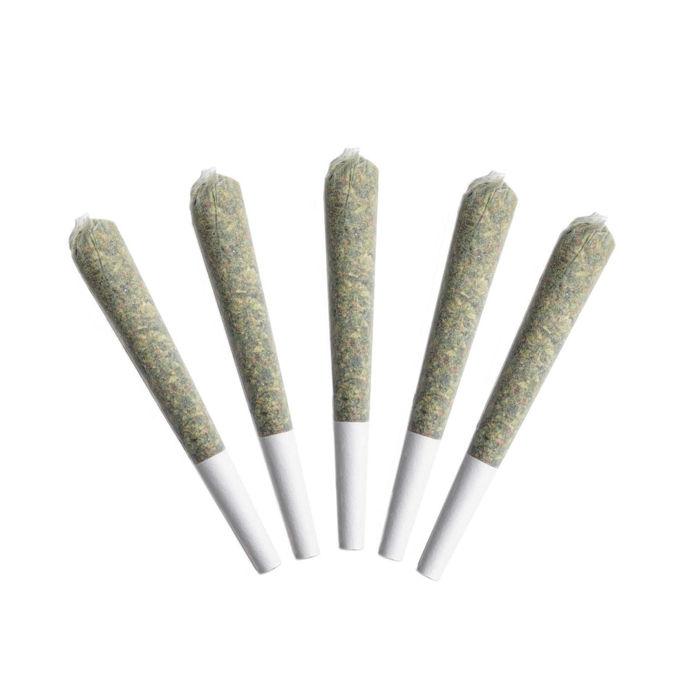 ACAPULCO GOLD PRE-ROLLS