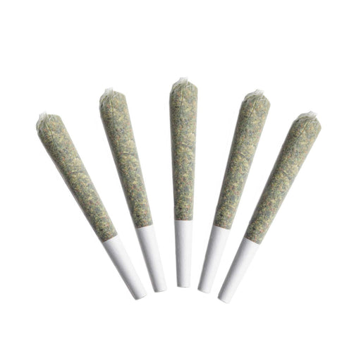 ACAPULCO GOLD PRE-ROLLS