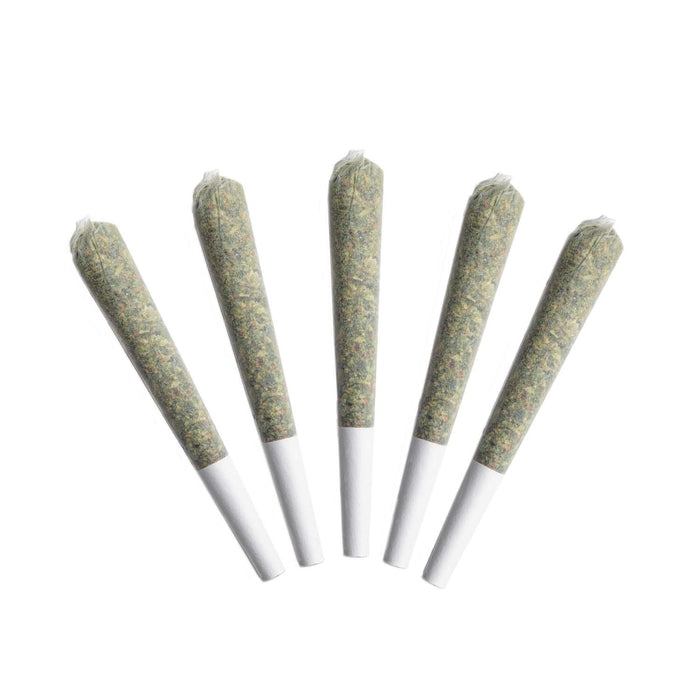 ACAPULCO GOLD PRE-ROLLS