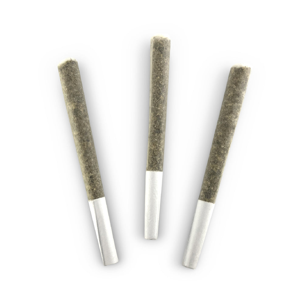 LOCAL MOTIVE PRE-ROLLS