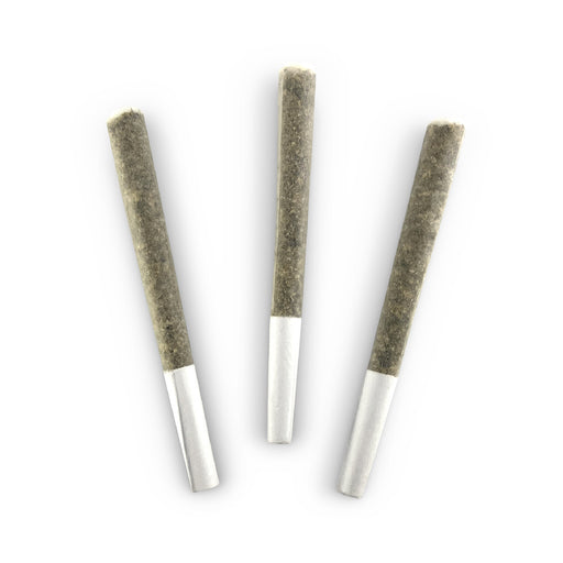 LOCAL MOTIVE PRE-ROLLS