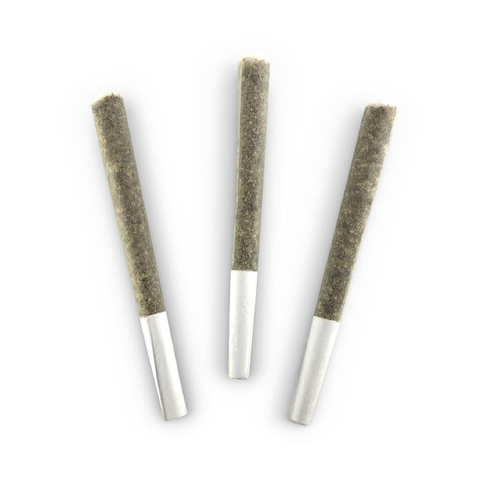 LOCAL MOTIVE PRE-ROLLS