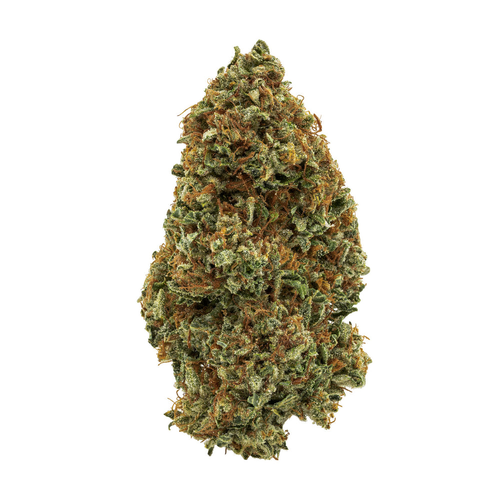 SOUR CONGO