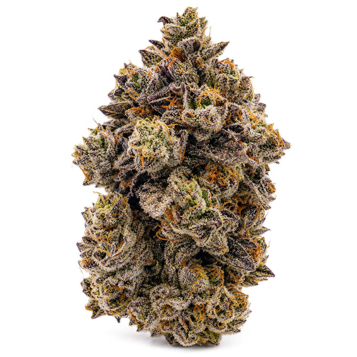 PEANUT BUTTER ROCKSTAR LTO