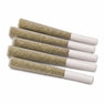 BC GARLIC PAPAYA LIVE HASH INFUSED PRE-ROLLS