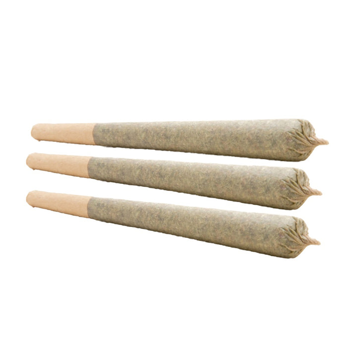 POWDERED DONUTS PRE-ROLL