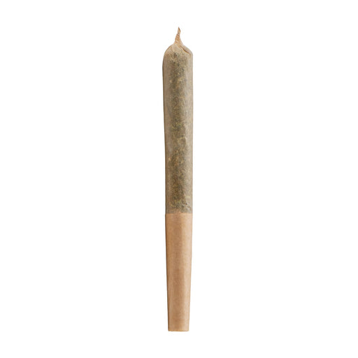 BIG WILLIE LIVE RESIN INFUSED PRE-ROLLS